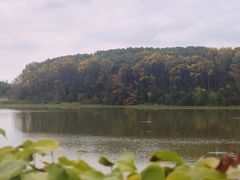 -昆山城市生态森林公园