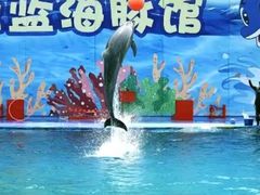 -北戴河圣蓝海洋公园