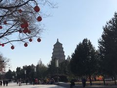 -大雁塔北广场音乐喷泉
