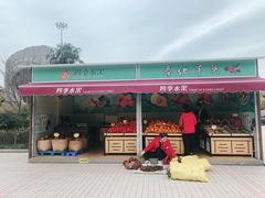 -慈城服务区-停车场