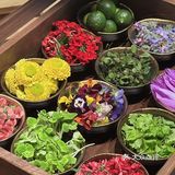 神明偏爱 一切从欢｜庭院日料omakase