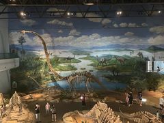 -自贡恐龙博物馆