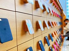 -Apple零售店(苏州店)