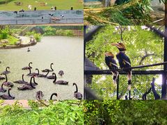 -深圳野生动物园
