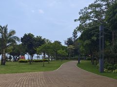 -野狸岛