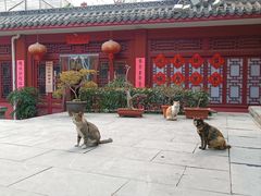 -长春观