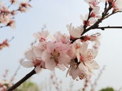 -西安浐灞国家湿地公园