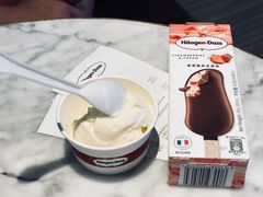 经典原味牛乳品脱-哈根达斯(武汉天地店)