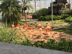 -无锡动物园·太湖欢乐园