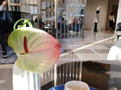 -茶源Fountain Lounge大堂吧·北京东方君悦大酒店