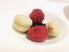 -蝶舍·MAISON PAPILLON