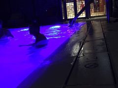 iphone_upload_pic-香港港岛英迪格酒店