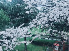 -浙江省杭州高级中学(贡院校区)