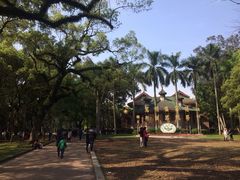 -中山大学学者灵芝(园南路店)