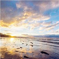 -薇兰专业脱毛连锁机构