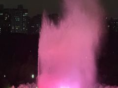 -上海宝华万豪酒店