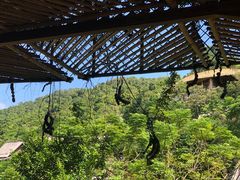 -海南槟榔谷黎苗文化旅游区