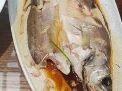 -老山东·山东菜(鲁菜名店)