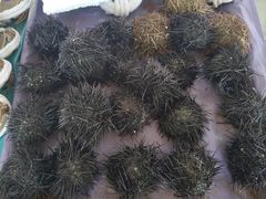 -南沙十九涌渔人码头-南门