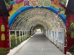 -光明农场大观园