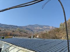 -鲁菜根·泰山菜(泰山店)