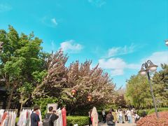 -西安青龙寺遗址景区