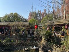 -青城甲(青城山店)