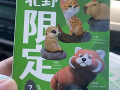 -北京野生动物园