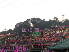 -枇杷园食为鲜火锅(南山店)