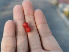 -丰台花园