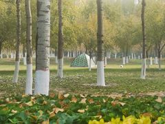 -燕郊植物园