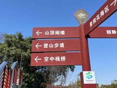 -王借岗森林公园