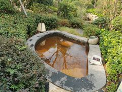 -溧阳天目湖天沐温泉