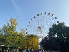 -西安浐灞国家湿地公园