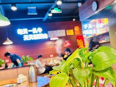 -老秦凉都黄牛肉馆(九堡店)