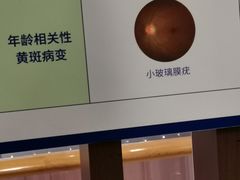 -宝岛眼镜·星创视光中心(百联世纪购物中心店)