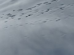 -鳌山滑雪度假区