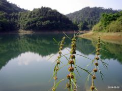 -千岛湖龙川湾