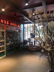 -保丽宝泰母婴护理院·月子中心·产康·中医(常州店)