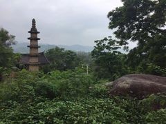 -赵家堡