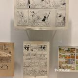 全球最大规模的丁丁展来上海啦