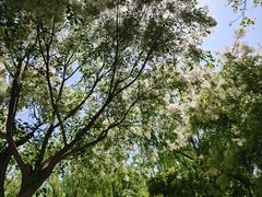 -石家庄市植物园