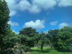 -上海野生动物园