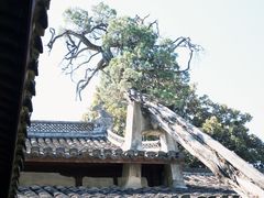 -太平天国侍王府