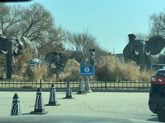 -北京野生动物园