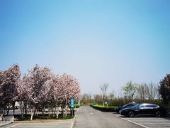 -天津东丽湖风景区