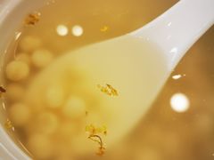 -品鲜村农家菜·阳澄湖大闸蟹(总店)