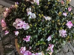 -长江路历史文化街区