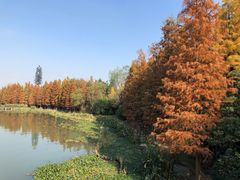-长广溪湿地公园