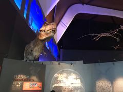 -贝林大翅鲸简餐厅(国家海洋博物馆店)